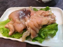 -丁老爷子苏香圆
