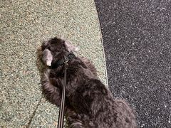 -Ann COFFEE(来福士店)