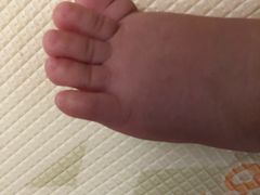 -八景休閒山莊  廣東十大名山莊