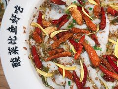 -太二酸菜鱼(石家庄万象城店)