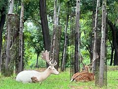 -秦皇岛野生动物园