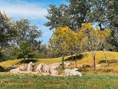 -北京野生动物园