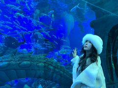 -哈尔滨波塞冬海底世界