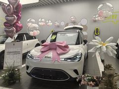 -上海浦东smart汽车全功能店(金桥店)