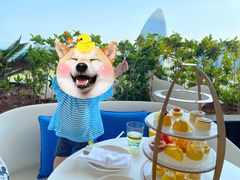 -海棠湾仁恒皇冠度假酒店-270°海景餐厅