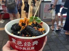 -黑色经典臭豆腐·湖南特产(坡子街店)