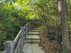 -午潮山国家森林公园