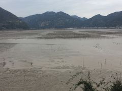 -北岐滩涂