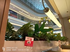 -吕氏疙瘩汤·海鲜新鲁菜(凯德mall新都心店)
