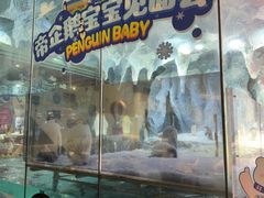 -帝企鹅自助餐厅•儿童岛•真企鹅(长隆企鹅酒店)