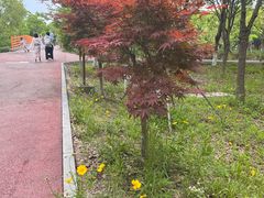 -柳鹭田园区