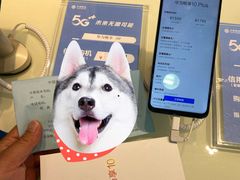 -中国移动(祁连山南路营业厅)