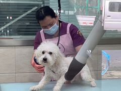-暖阳宠物医院·犬猫康复中心·骨科