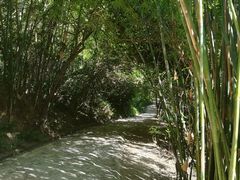 -羚羊峡古栈道森林公园