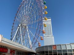 -大起水产回转寿司(りんくうシークル店)