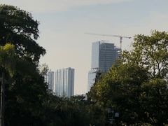 -三垟湿地