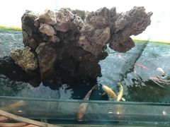 -中国建设银行(北京东四支行)