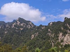 -王顺山国家森林公园
