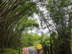 -大新明仕山庄