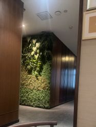 点击看大图 -禾颜社·精致美容
