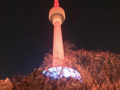 -龟山风景区-龟山电视塔