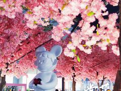 -东莞松山湖万象汇