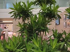 -上海浦东国际机场-T2航站楼