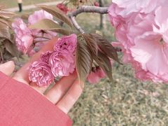 -河南省黄河迎宾馆