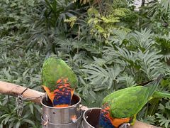 -南宫五洲植物乐园