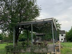 -田园东方蜜桃村的田野营地