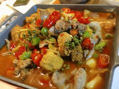 -新蜀会四川豆花(五羊店)