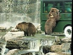 -北京野生动物园