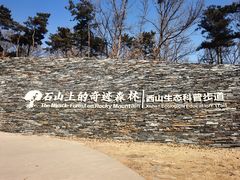 -北京西山国家森林公园