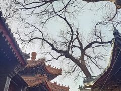 -贤良祠