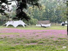 -福建鲤鱼洲酒店