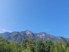 -莲峰云海景区