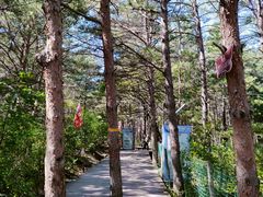 -帽儿山国家森林公园