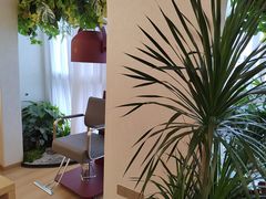 -瑶舍头疗·瑶浴·芳香热石SPA(五洲国际店)