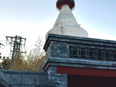-妙应寺白塔
