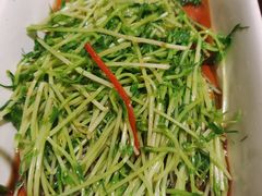 白灼时蔬-火宫殿·湘菜小吃·商务宴请·生日聚会(东塘店)