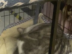 -谜盒子奇幻密室(南屏店)