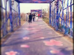 -桃花岛景观公园