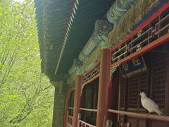 -潭柘寺景区
