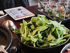 -滇野云南野生菌餐厅(陕西南路店)