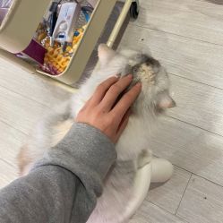 -Beauty Nails 美甲美睫皮肤管理
