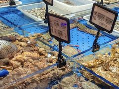 -鲜得莱渔港·小平岛海胆馆(七贤岭店)