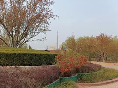 -古塔公园