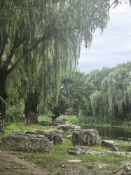 -爱儿美儿童摄影(奥森公园店)