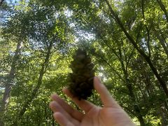 -洛阳白云山景区