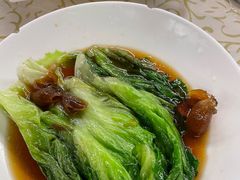 -百利鸽王(紫薇路店)